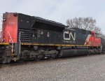 CN 8913